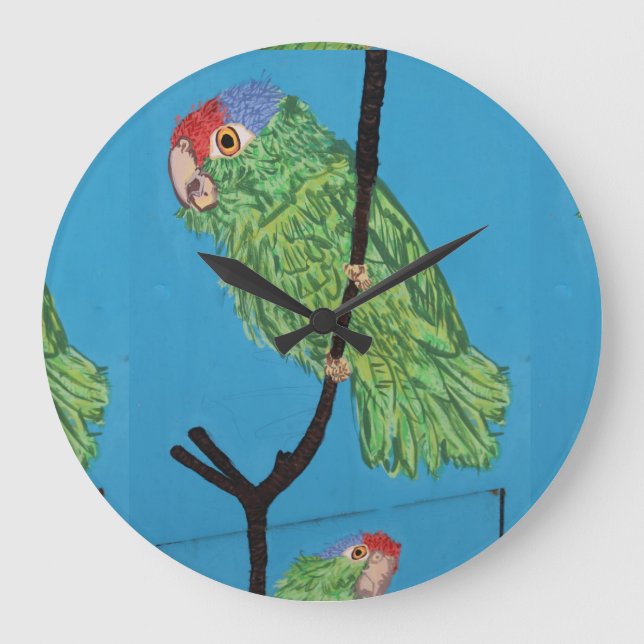 green parrot clock (Front)