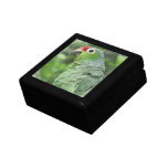 Green Parrot  Gift Box