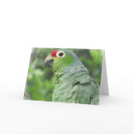 Green Parrot Greeting Card