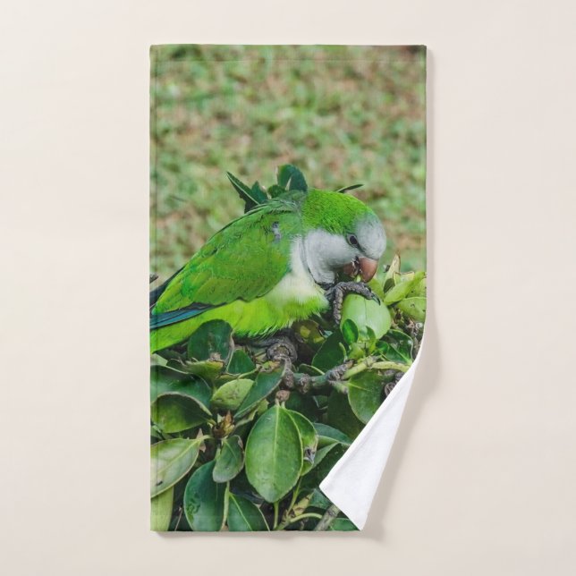 Green parrot hand towel  (Hand Towel)