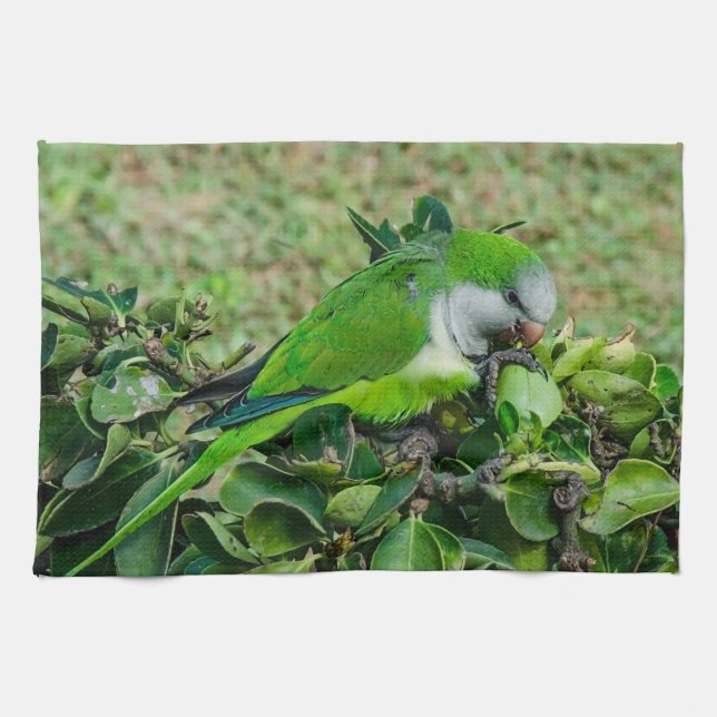 Green parrot kitchen towel (Horizontal)