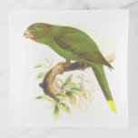 [ Thumbnail: Green Parrot-Like Bird Perched On a Tree Branch Trinket Tray ]