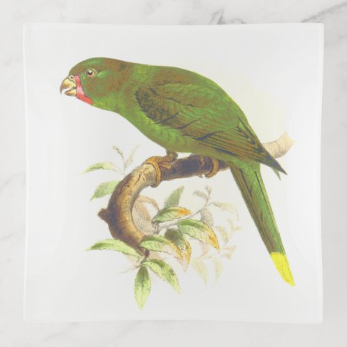 Green Parrot_Like Bird Perched on a Tree Branch Trinket Tray