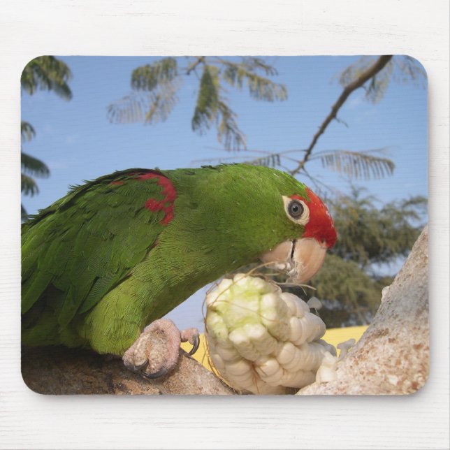 green parrot mouse pad (Front)