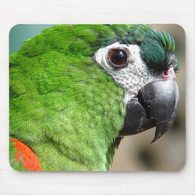 Green Parrot Mousepad (Front)