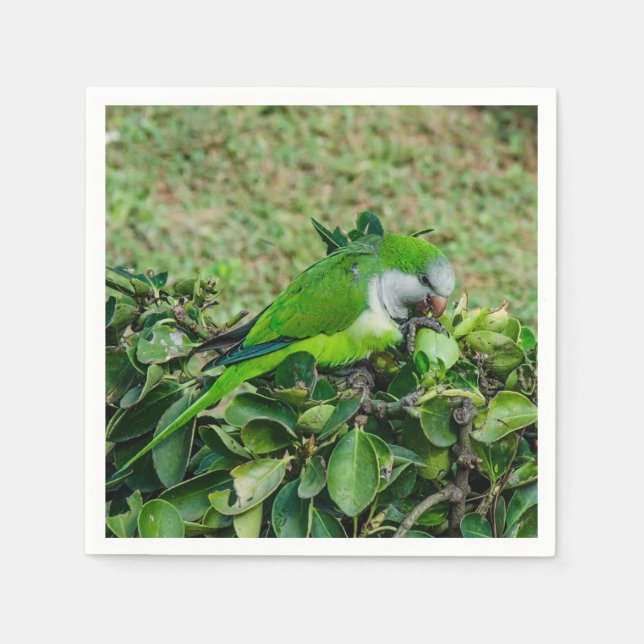 Green parrot napkins (Front)