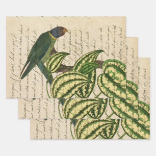 Green Parrot on Branch and Leaves Wrapping Paper Sheets