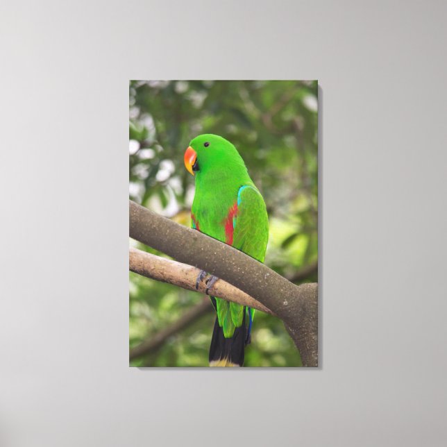 Green Parrot Portrait Canvas Print (Front)