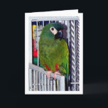 Green Parrot Portrait Card<br><div class="desc">Green Parrot Portrait Greeting Card. You can easily customize this product for free if you would like to add wording or change the color of the background.</div>
