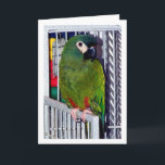 Green Parrot Portrait Card<br><div class="desc">Green Parrot Portrait Greeting Card. You can easily customize this product for free if you would like to add wording or change the color of the background.</div>