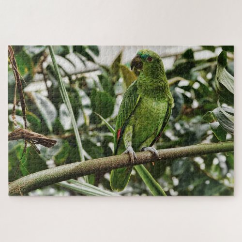 green parrot puzzle