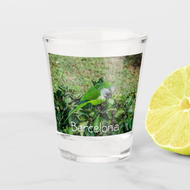 Green parrot shot glass (Front)