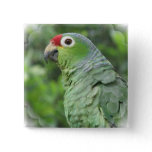 Green Parrot Square Pin