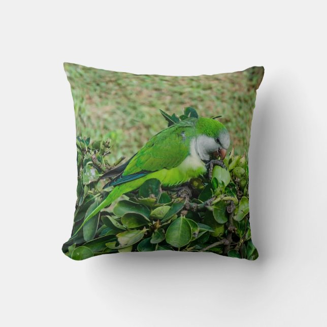 Green parrot throw pillow (Front)