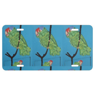green parrots custom license plate