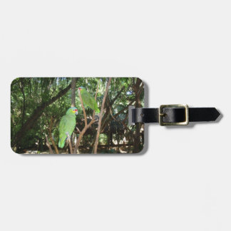 Green Parrots Luggage Tag