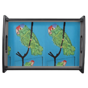 green parrots serving tray