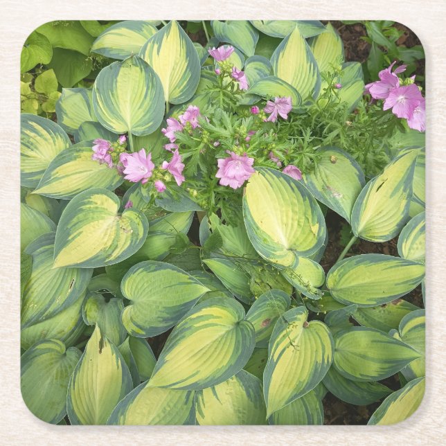Green Passion Flower Botanical Coaster | Tropical  (Front)