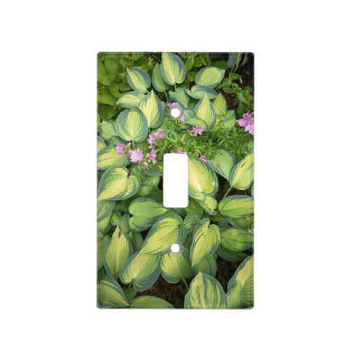 Green Passion Flower Botanical Wall Plate Cover |