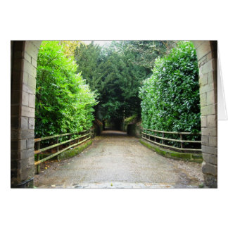 Green Path Cards