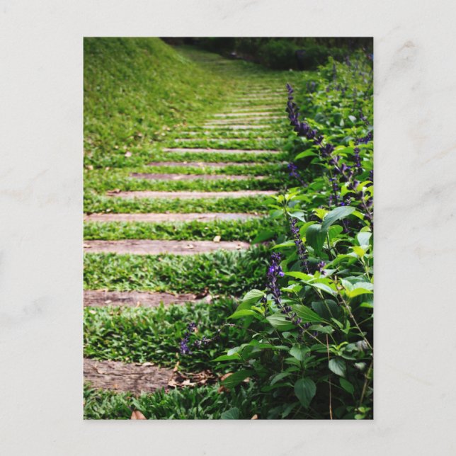 Green Path Postcard (Front)