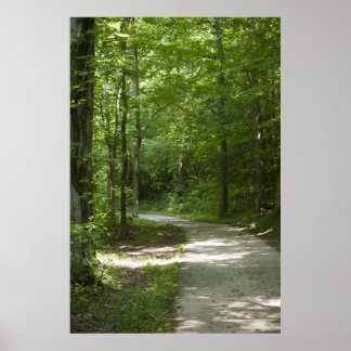 Green Paths 13 Poster