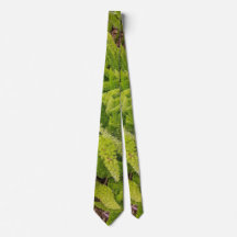 Green pattern  Neck Tie