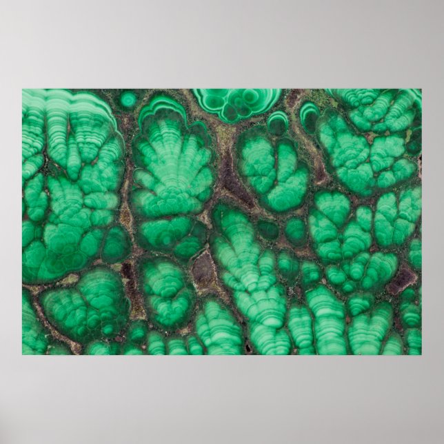 Green Patterned Malachite Poster (Front)