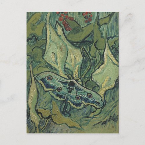 Green Peacock Emperor Moth by Vincent van Gogh Postcard