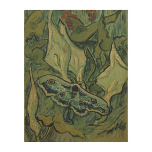 Green Peacock (Emperor) Moth by Vincent van Gogh Wood Wall Decor