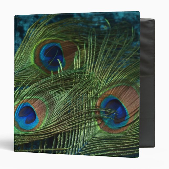 Green Peacock Feather 3 Ring Binder (Front/Inside)