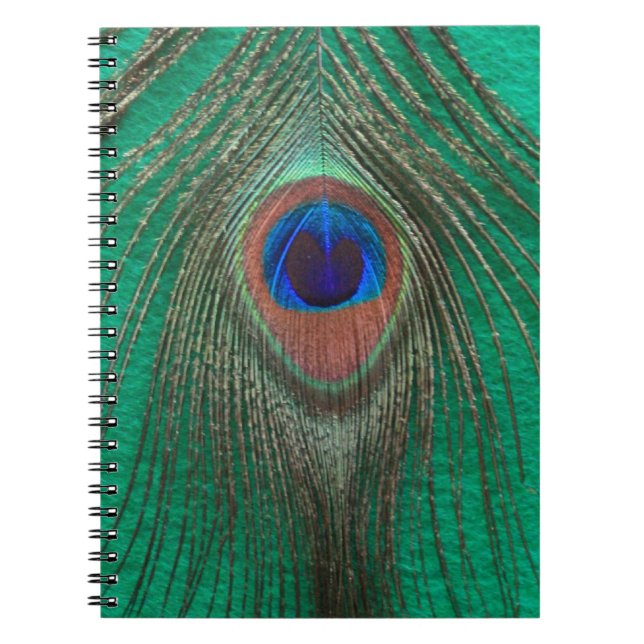 Green Peacock Feather Notebook (Front)