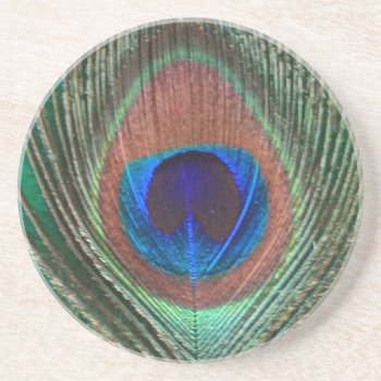 Green Peacock Feather Sandstone Coaster by BuzBuzBuz at Zazzle