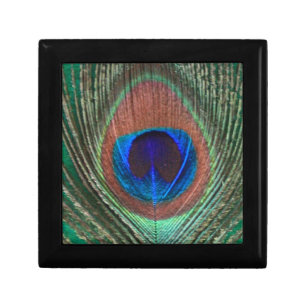 Green Peacock Feather Small Tile Gift Box