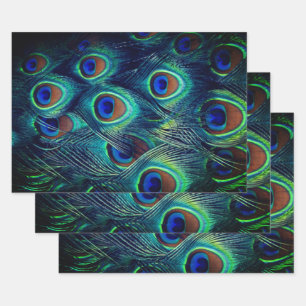 Green Peacock Feathers Collection Wrapping Paper Sheets