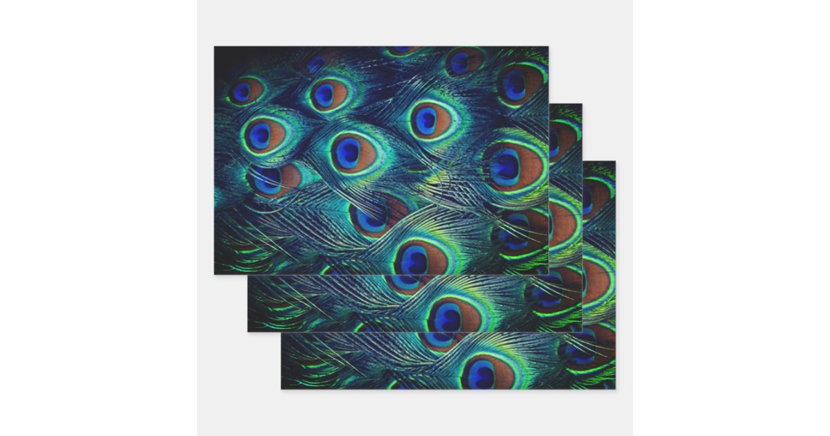 Green Peacock Feathers Collection Wrapping Paper Sheets R495e3a12fcca4e2aa79e071a1fba8a1f 09zou 630 ?rlvnet=1&view Padding=[285%2C0%2C285%2C0]