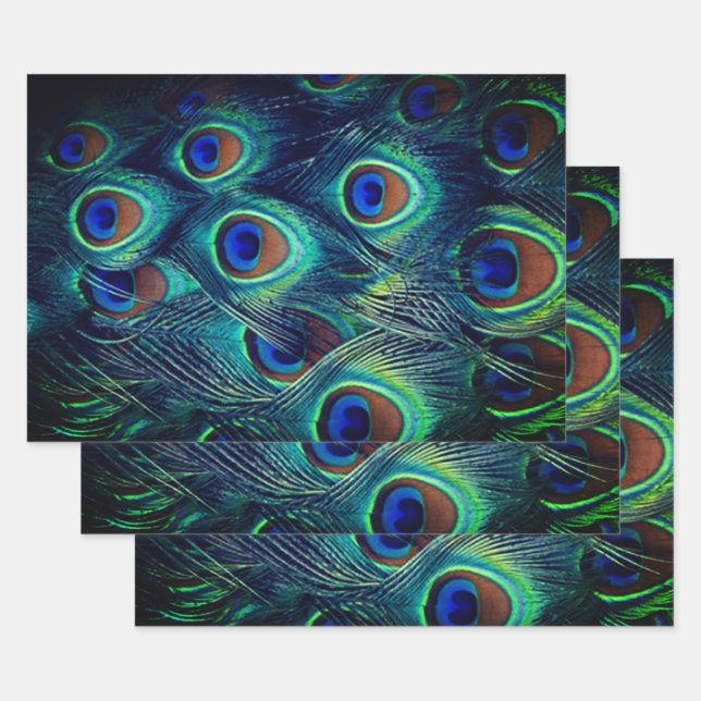 Green Peacock Feathers Collection Wrapping Paper Sheets (Set)