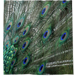 Green Peacock Feathers With Blue Eyes Shower Curtain
