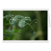 Green Pea's Tears Card (Front Horizontal)