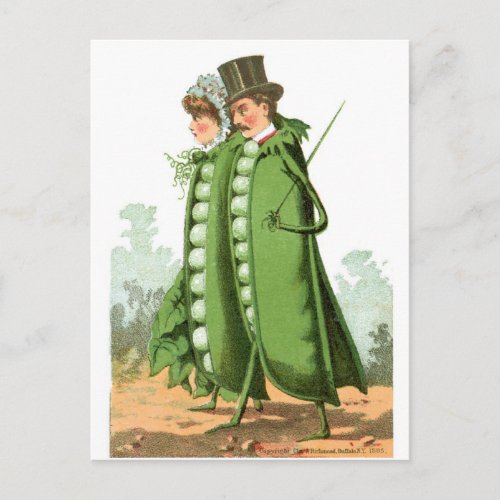 Green Peas Vintage Food Ad Art Postcard