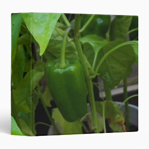 Green Peppers 3 Ring Binder