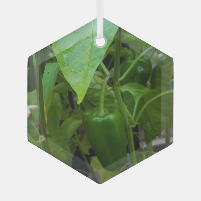 Green Peppers Glass Ornament (Front)