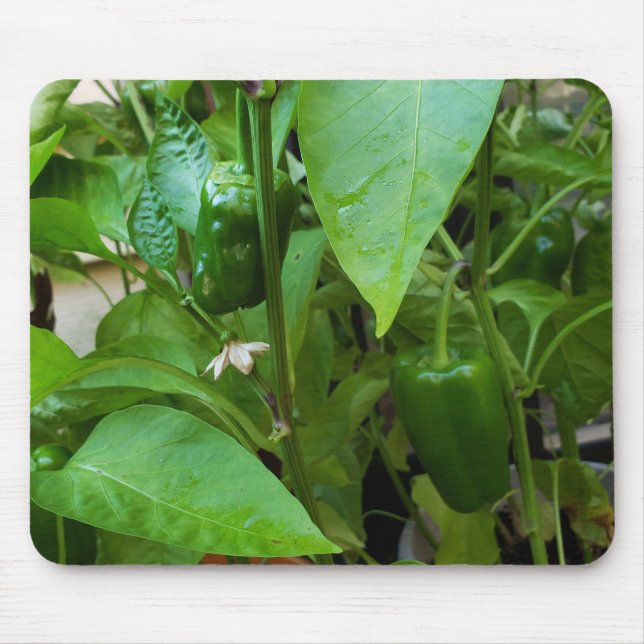 Green Peppers Mouse Pad (Front)