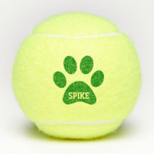 Green Pet Paw Print Personalized Name Toy
