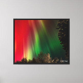 green pillars over tree silhouettes.  canvas print