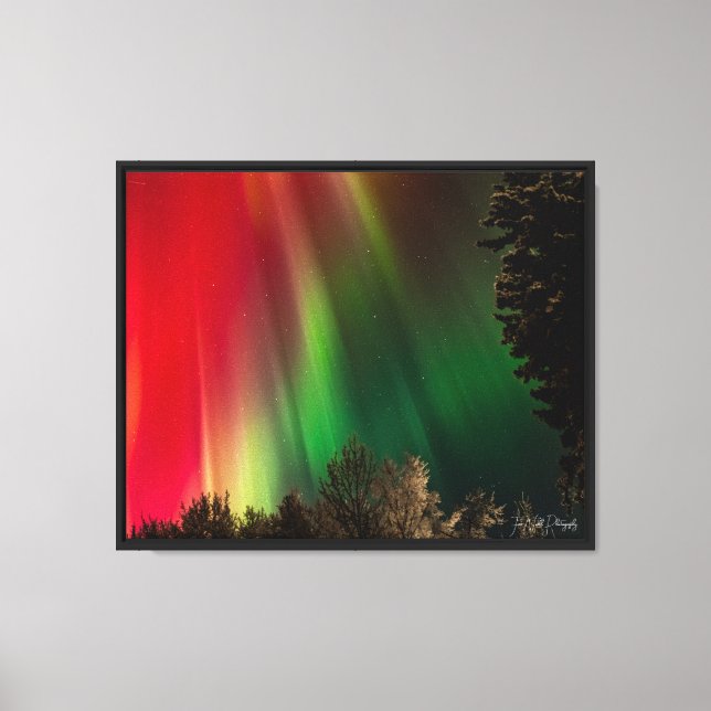 green pillars over tree silhouettes.  canvas print (Front)