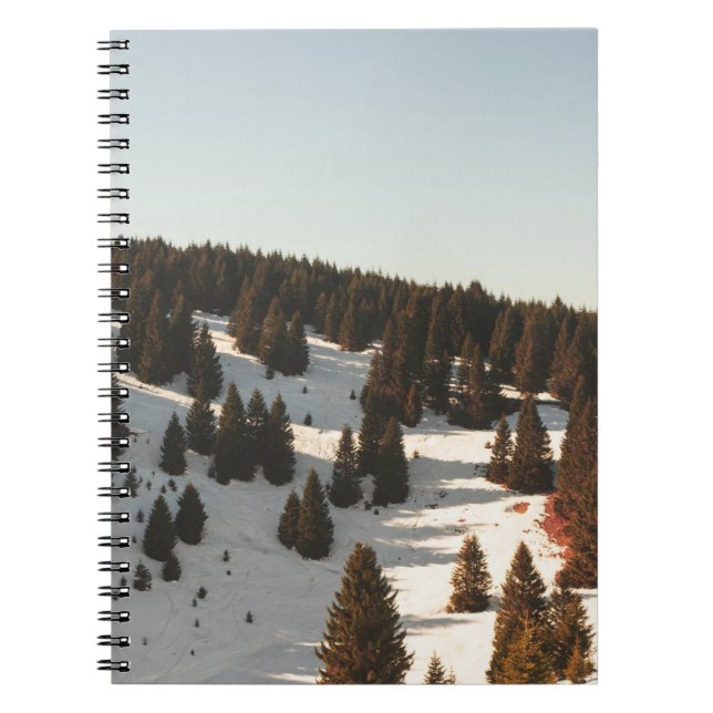 GREEN PINE TREES NOTEBOOK (Front)