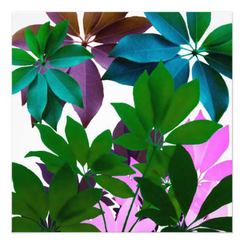 Green  Pink Leaves Professional Photo Paper