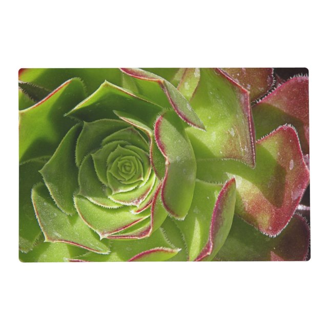 Green Placemat (Front)