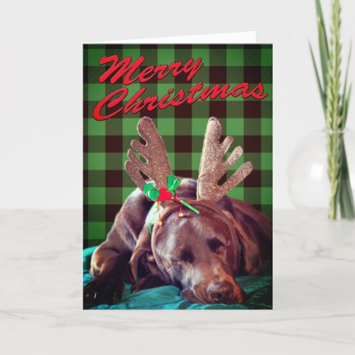 Green Plaid Labrador Wearing Antlers Photo Custom  Holiday Card